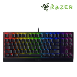 Razer BlackWidow V3 Pro Gaming Keyboard (2.4GHz, Hybrid on-board, Detachable)